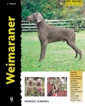 WEIMARANER | 9788425513985 | HARPER | Llibreria Drac - Llibreria d'Olot | Comprar llibres en català i castellà online