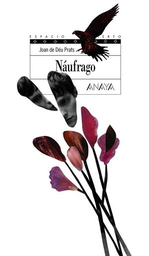 NAUFRAGO | 9788466792486 | PRATS, JOAN DE DEU | Llibreria Drac - Llibreria d'Olot | Comprar llibres en català i castellà online