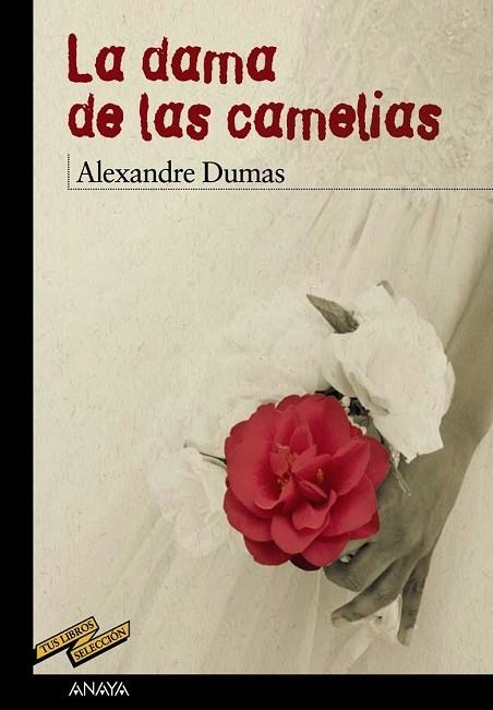 DAMA DE LAS CAMELIAS, LA | 9788466793179 | DUMAS, ALEXANDRE | Llibreria Drac - Llibreria d'Olot | Comprar llibres en català i castellà online