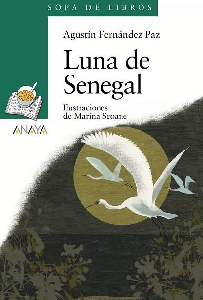 LUNA DE SENEGAL | 9788466784306 | FERNANDEZ, AGUSTIN | Llibreria Drac - Llibreria d'Olot | Comprar llibres en català i castellà online