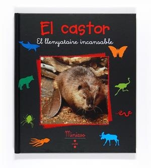 CASTOR, EL (MINIZOO) | 9788466124232 | VV.AA. | Llibreria Drac - Llibreria d'Olot | Comprar llibres en català i castellà online