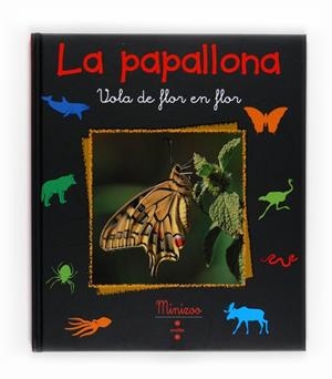 PAPALLONA, LA | 9788466125109 | VV.AA. | Llibreria Drac - Llibreria d'Olot | Comprar llibres en català i castellà online