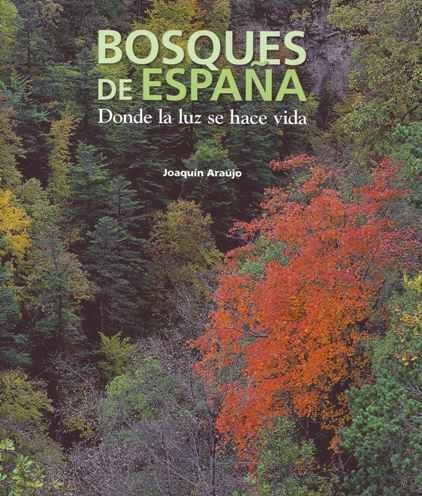 BOSQUES DE ESPAÑA. DONDE LA LUZ SE HACE VIDA | 9788497856782 | ARAUJO, JOAQUIN | Llibreria Drac - Llibreria d'Olot | Comprar llibres en català i castellà online