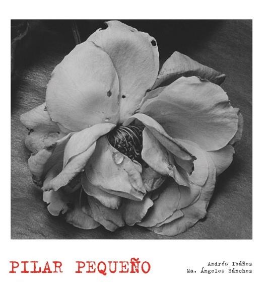 PILAR PEQUEÑO | 9788497856874 | IBAÑEZ, ANDRES / SANCHEZ, Mª ANGELES | Llibreria Drac - Llibreria d'Olot | Comprar llibres en català i castellà online