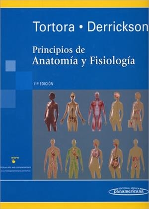 PRINCIPIOS DE ANATOMIA Y FISIOLOGIA | 9789687988771 | TORTORA, GERARD; DERRICKSON, BRYAN | Llibreria Drac - Llibreria d'Olot | Comprar llibres en català i castellà online