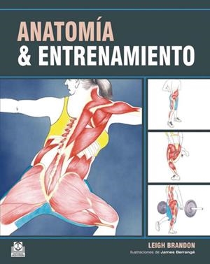 ANATOMIA Y ENTRENAMIENTO | 9788499100548 | BRANDON, LEIGH | Llibreria Drac - Llibreria d'Olot | Comprar llibres en català i castellà online