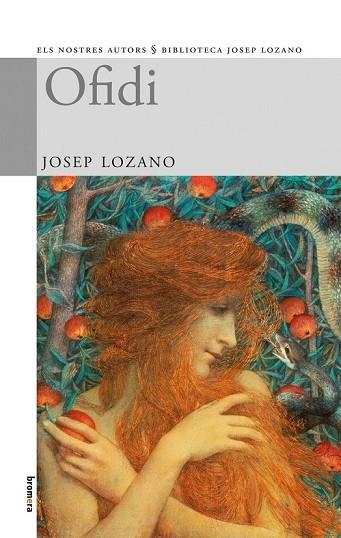 OFIDI | 9788498244489 | LOZANO, JOSEP | Llibreria Drac - Librería de Olot | Comprar libros en catalán y castellano online