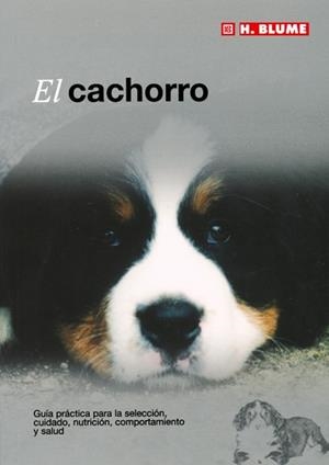 CACHORRO, EL | 9788489840898 | AA.VV. | Llibreria Drac - Llibreria d'Olot | Comprar llibres en català i castellà online