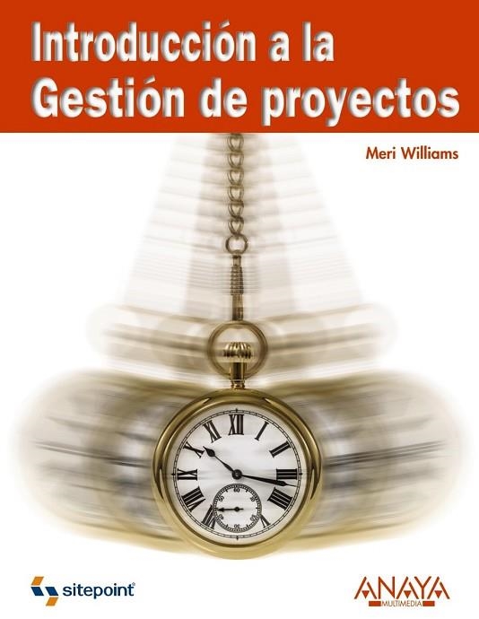 INTRODUCCION A LA GESTION DE PROYECTOS | 9788441525122 | WILLIAMS, MERI | Llibreria Drac - Llibreria d'Olot | Comprar llibres en català i castellà online