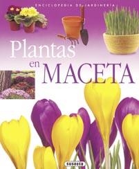 PLANTAS EN MACETA | 9788430567584 | VV.AA | Llibreria Drac - Llibreria d'Olot | Comprar llibres en català i castellà online