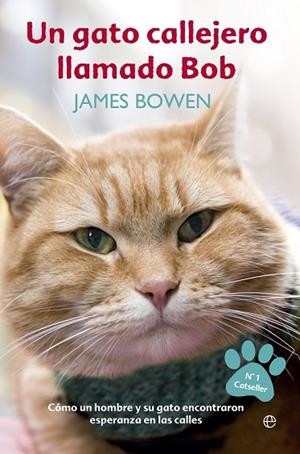 GATO CALLEJERO LLAMADO BOB, UN | 9788499709451 | BOWDEN, JAMES | Llibreria Drac - Llibreria d'Olot | Comprar llibres en català i castellà online