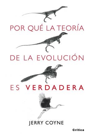 POR QUE LA TEORIA DE LA EVOLUCION ES VERDADERA | 9788498920222 | COYNE, JERRY | Llibreria Drac - Llibreria d'Olot | Comprar llibres en català i castellà online