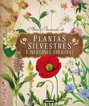 ATLAS ILUSTRADO DE PLANTAS SILVESTRES E INFUSIONES CURATIVAS | 9788467722864 | TOMANOVA, ELISKA | Llibreria Drac - Llibreria d'Olot | Comprar llibres en català i castellà online