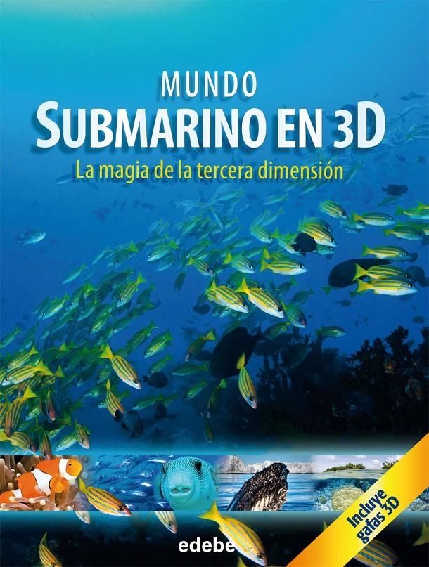 MUNDO SUBMARINO EN 3D | 9788468308777 | KIEGEL, HEIDRUN | Llibreria Drac - Llibreria d'Olot | Comprar llibres en català i castellà online