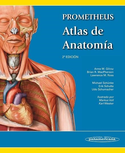 PROMETHEUS. ATLAS DE ANATOMÍA | 9788498357080 | M. GILROY, ANNE; R. MACPHERSON, BRIAN; M. ROSS, LAWRENCE | Llibreria Drac - Llibreria d'Olot | Comprar llibres en català i castellà online