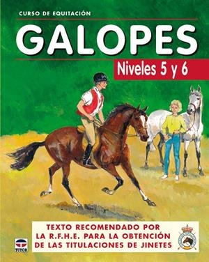 GALOPES NIVELES 5 Y 6 | 9788479025625 | AAVV | Llibreria Drac - Llibreria d'Olot | Comprar llibres en català i castellà online