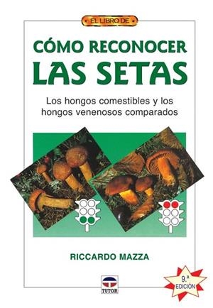 COMO RECONOCER LAS SETAS (8ª ED) | 9788479026868 | MAZZA, RICCARDO | Llibreria Drac - Llibreria d'Olot | Comprar llibres en català i castellà online