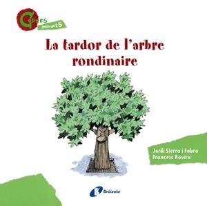 TARDOR DE L'ARBRE RONDINAIRE, LA (CONTES MENUDETS) | 9788499065403 | SIERRA I FABRA, JORDI | Llibreria Drac - Llibreria d'Olot | Comprar llibres en català i castellà online