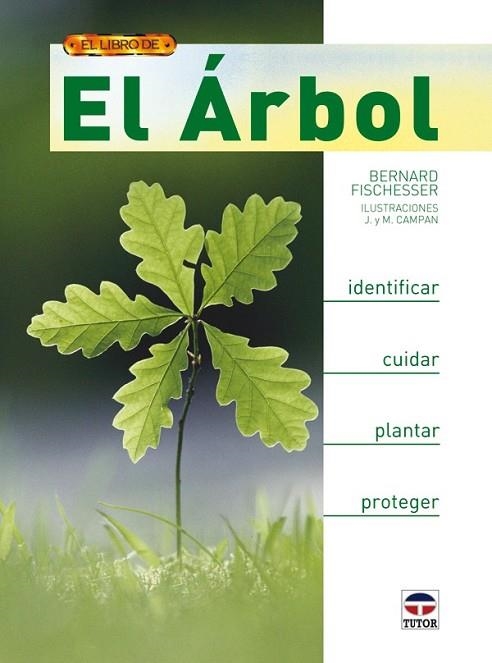 ARBOL, EL | 9788479027834 | FISCHESSER, BERNARD | Llibreria Drac - Llibreria d'Olot | Comprar llibres en català i castellà online