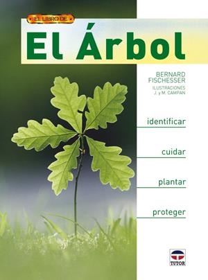 ARBOL, EL | 9788479027834 | FISCHESSER, BERNARD | Llibreria Drac - Llibreria d'Olot | Comprar llibres en català i castellà online