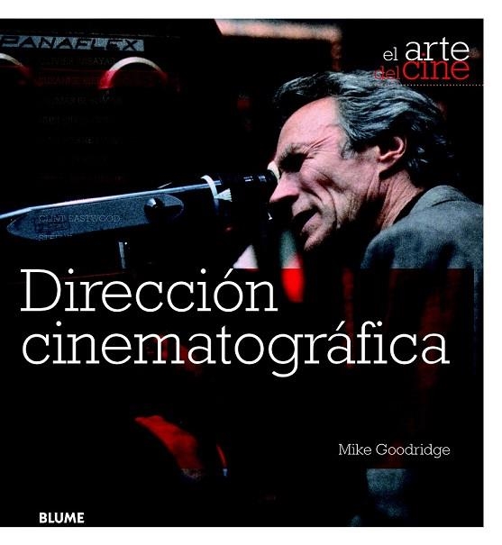 DIRECCIÓN CINEMATOGRÁFICA | 9788415317807 | GOODRIDGE, MIKE | Llibreria Drac - Llibreria d'Olot | Comprar llibres en català i castellà online