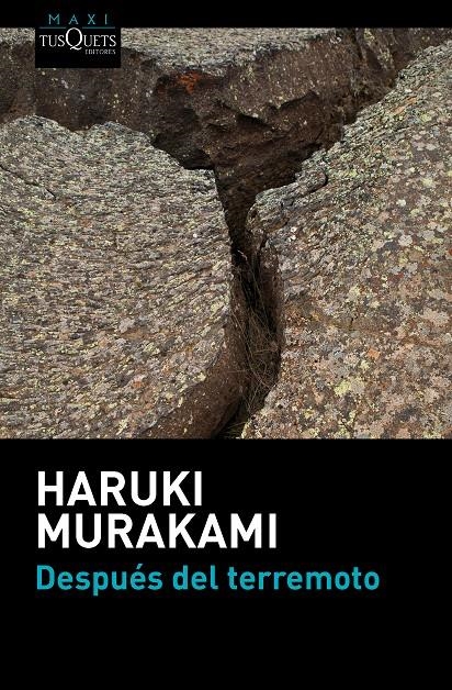 DESPUÉS DEL TERREMOTO | 9788483838891 | MURAKAMI, HARUKI  | Llibreria Drac - Llibreria d'Olot | Comprar llibres en català i castellà online