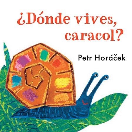 DONDE VIVES, CARACOL? | 9788426140777 | HORACEK, PETR  | Llibreria Drac - Llibreria d'Olot | Comprar llibres en català i castellà online