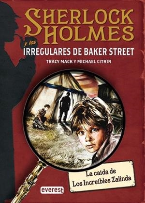 SHERLOCK HOLMES Y LOS IRREGULARES DE BAKER STREET | 9788424178406 | MACK, TRACY | Llibreria Drac - Llibreria d'Olot | Comprar llibres en català i castellà online