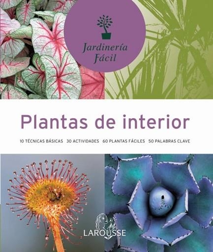 PLANTAS DE INTERIOR | 9788480165761 | Llibreria Drac - Llibreria d'Olot | Comprar llibres en català i castellà online