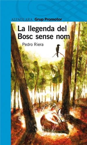 LLEGENDA DEL BOSC SENSE NOM, LA | 9788479183561 | RIERA, PEDRO | Llibreria Drac - Librería de Olot | Comprar libros en catalán y castellano online