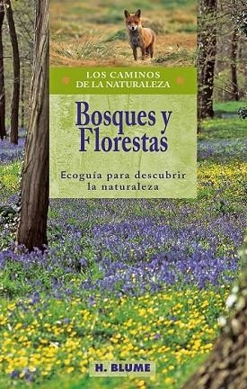 BOSQUES Y FLORESTAS. LOS CAMINOS DE LA NATURALEZA | 9788489840287 | VV.AA. | Llibreria Drac - Llibreria d'Olot | Comprar llibres en català i castellà online