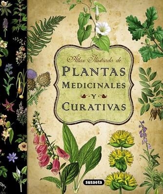 ATLAS ILUSTRADO DE PLANTAS MEDICINALES Y CURATIVAS | 9788467712575 | VV.AA. | Llibreria Drac - Llibreria d'Olot | Comprar llibres en català i castellà online