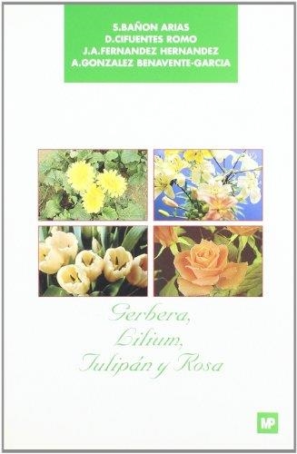 GERBERA, LILIUM, TULIPAN Y ROSA | 9788471144461 | BAÐON ARIAS, ETC | Llibreria Drac - Llibreria d'Olot | Comprar llibres en català i castellà online