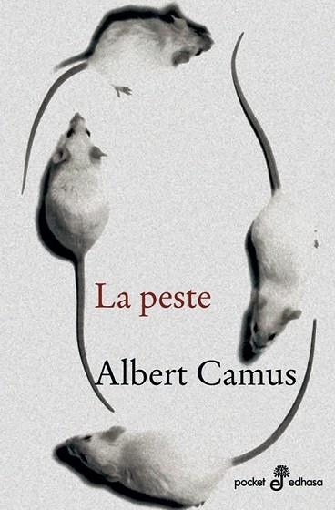 PESTE, LA | 9788435018814 | CAMUS, ALBERT | Llibreria Drac - Llibreria d'Olot | Comprar llibres en català i castellà online