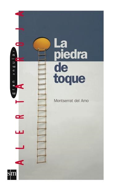 PIEDRA DE TOQUE, LA | 9788434852501 | AMO, MONTSERRAT DEL | Llibreria Drac - Llibreria d'Olot | Comprar llibres en català i castellà online