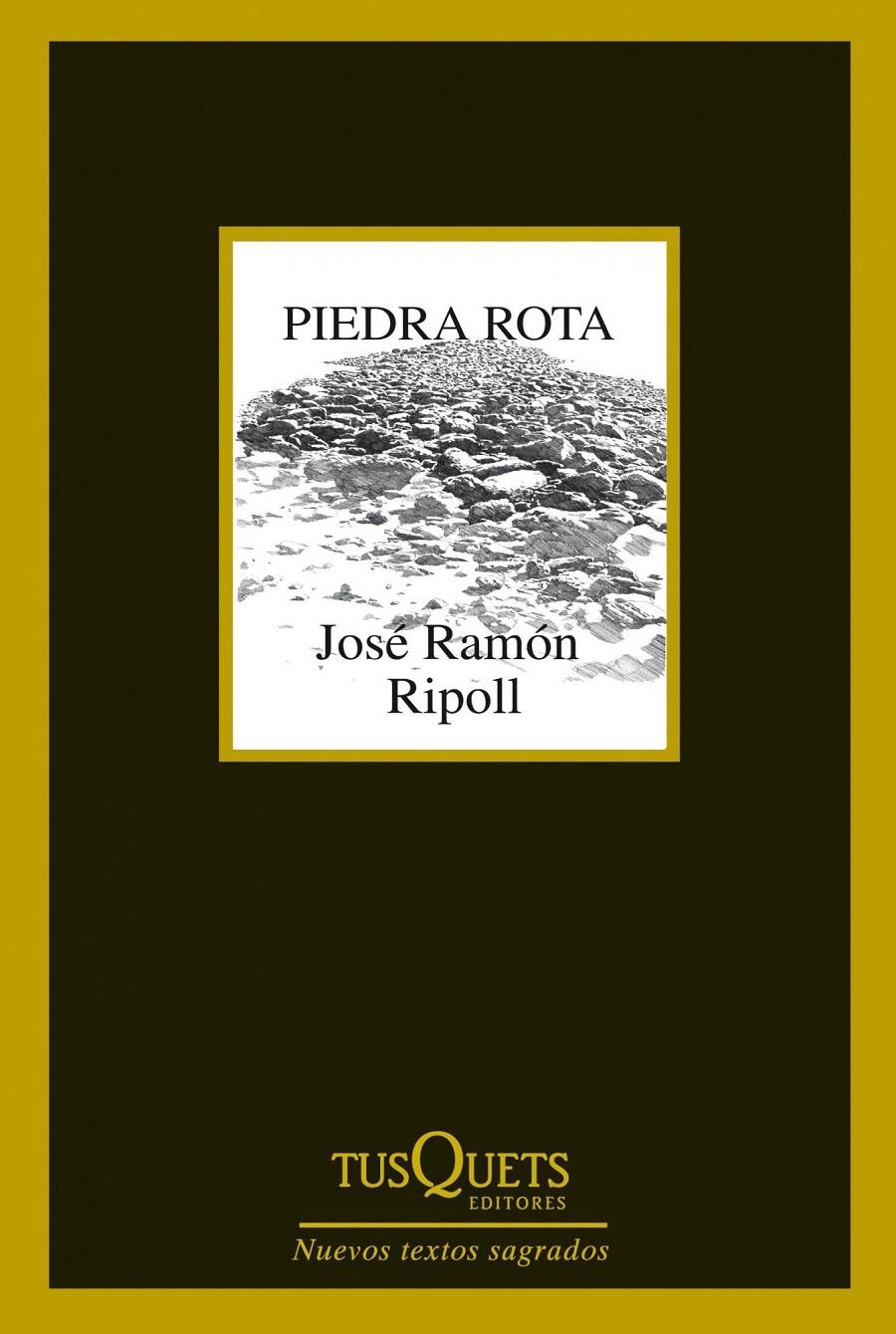 PIEDRA ROTA | 9788483834787 | RIPOLL, JOSE RAMON | Llibreria Drac - Llibreria d'Olot | Comprar llibres en català i castellà online