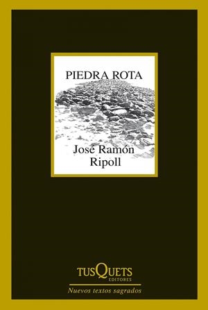 PIEDRA ROTA | 9788483834787 | RIPOLL, JOSE RAMON | Llibreria Drac - Llibreria d'Olot | Comprar llibres en català i castellà online