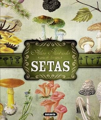 ATLAS ILUSTRADO DE LAS SETAS | 9788467722871 | BECKER, GEORGES/Y OTROS | Llibreria Drac - Llibreria d'Olot | Comprar llibres en català i castellà online