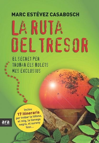 RUTA DEL TRESOR, LA | 9788415224075 | ESTEVEZ, MARC | Llibreria Drac - Librería de Olot | Comprar libros en catalán y castellano online