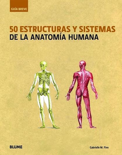 50 ESTRUCTURAS Y SISTEMAS DE LA ANATOMIA HUMANA | 9788498016345 | FINN, GABRIELLE M. | Llibreria Drac - Llibreria d'Olot | Comprar llibres en català i castellà online