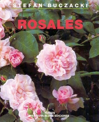 ROSALES | 9788487756894 | BUCZACKI, STEFAN | Llibreria Drac - Llibreria d'Olot | Comprar llibres en català i castellà online