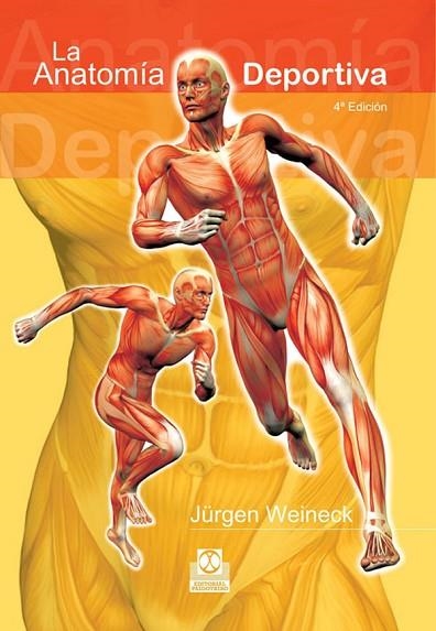 ANATOMIA DEPORTIVA, LA             (DIP) | 9788480192095 | WEINECK, JURGEN | Llibreria Drac - Llibreria d'Olot | Comprar llibres en català i castellà online