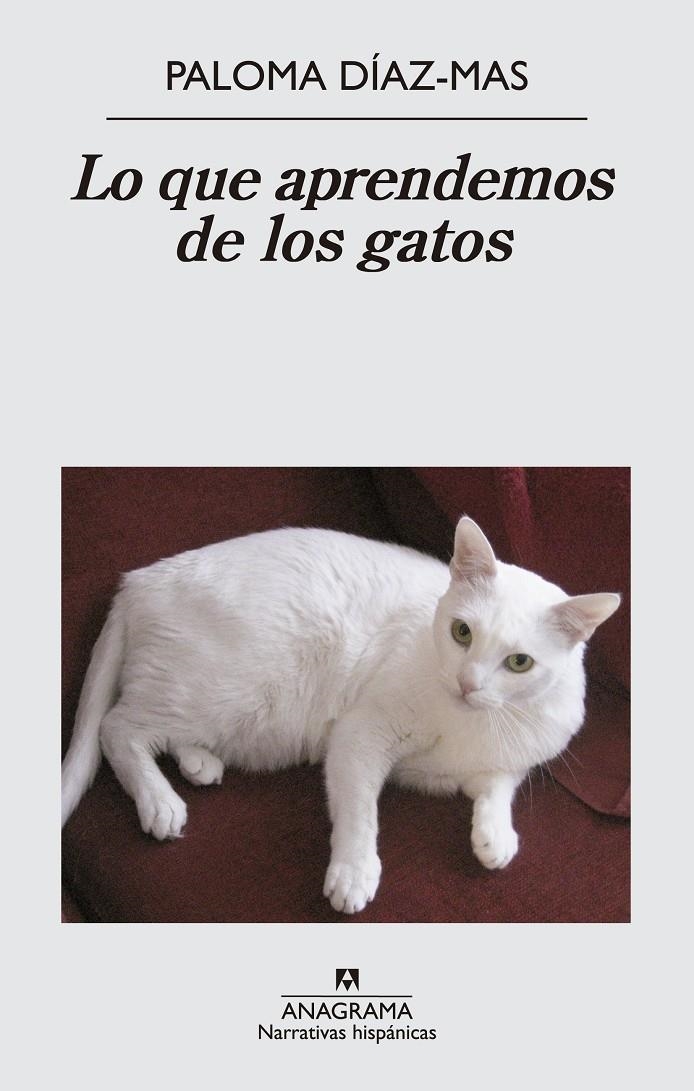 LO QUE APRENDEMOS DE LOS GATOS | 9788433997807 | DÍAZ-MAS, PALOMA | Llibreria Drac - Librería de Olot | Comprar libros en catalán y castellano online