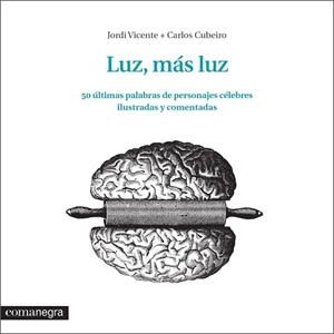 LUZ, MÁS LUZ | 9788416033348 | VICENTE, JORDI ; DÍAZ, CARLOS | Llibreria Drac - Llibreria d'Olot | Comprar llibres en català i castellà online