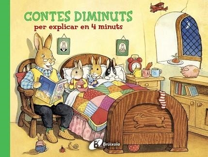 CONTES DIMINUTS PER EXPLICAR EN 4 MINUTS | 9788499065984 | AADD | Llibreria Drac - Llibreria d'Olot | Comprar llibres en català i castellà online