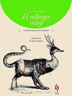 RELLOTGER MIOP, EL ( BUSCA RAONS 1 ) | 9788494256424 | SIGNORILE, LISA | Llibreria Drac - Llibreria d'Olot | Comprar llibres en català i castellà online