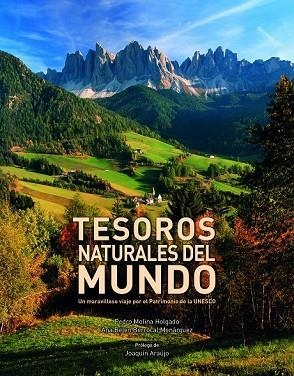 TESOROS NATURALES DEL MUNDO | 9788416177264 | MOLINA, PEDRO ; BERROCAL, ANA BELÉN | Llibreria Drac - Llibreria d'Olot | Comprar llibres en català i castellà online