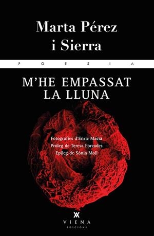 M'HE EMPASSAT LA LLUNA | 9788483308264 | PÉREZ, MARTA | Llibreria Drac - Llibreria d'Olot | Comprar llibres en català i castellà online