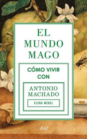 MUNDO MAGO, EL | 9788434422353 | MEDEL, ELENA | Llibreria Drac - Llibreria d'Olot | Comprar llibres en català i castellà online