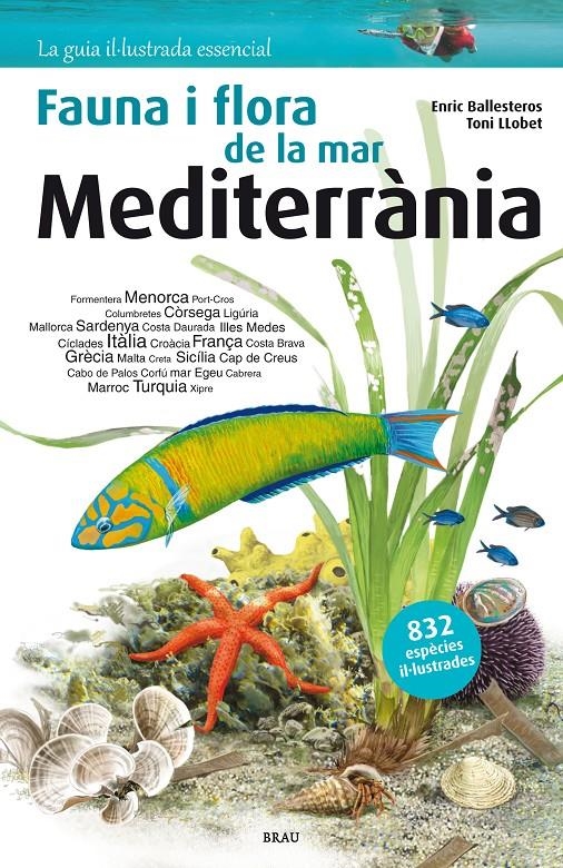 FAUNA I FLORA DE LA MAR MEDITERRÀNIA | 9788415885252 | BALLESTEROS, ENRIC; LLOBET, TONI | Llibreria Drac - Llibreria d'Olot | Comprar llibres en català i castellà online